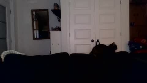 hightonight27 online show from 21, 2, 2026