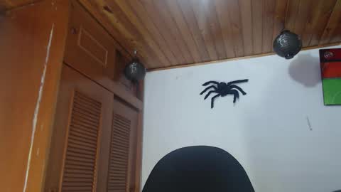 Snapshot of hilari18 chatting on 28, 10, 2025 hilaril18 online show from 28, 10, 2025