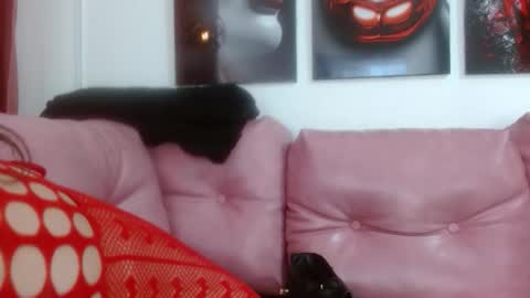 Snapshot of hinataleecs chatting on 29, 9, 2025 hinata lee online show from 29, 9, 2025