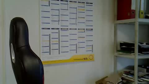 hippo online show from 2, 12, 2024