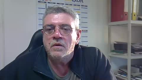 hippo online show from 11, 12, 2024