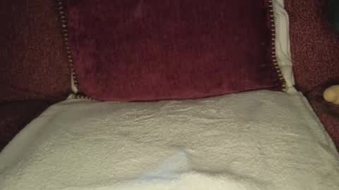 Snapshot of hisnotyours chatting on 15, 2, 2026 Grace online show from 15, 2, 2026