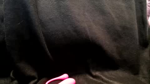 hoiiand48482 online show from 13, 1, 2025