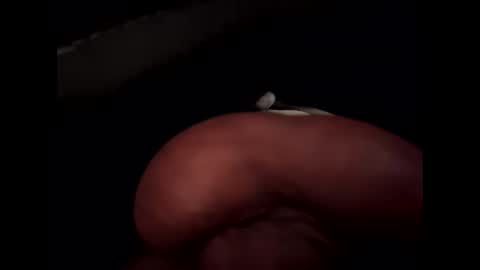 hoiiand48482 online show from 7, 2, 2026