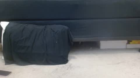 Holly Hawkes online show from 3, 3, 2025