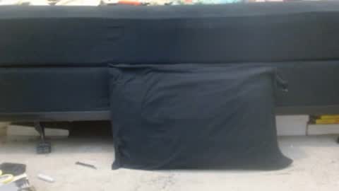 Holly Hawkes online show from 5, 3, 2025