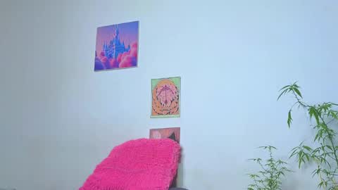      online show from 20, 3, 2026