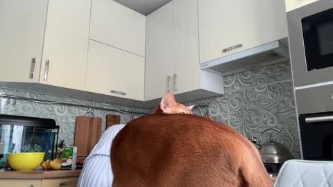 dori not holy get my tg channel with link from description under last photo online show from 10, 2, 2025