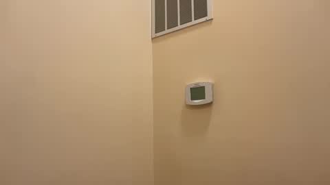 honey_man14 online show from 12, 2, 2026