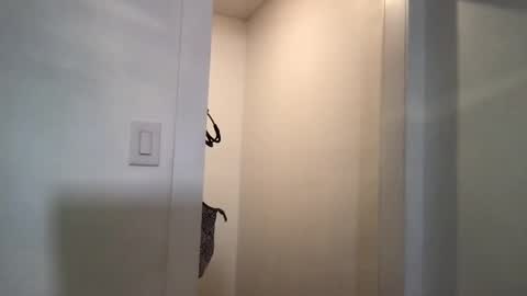 HoneyBeeXx69 online show from 5, 3, 2025