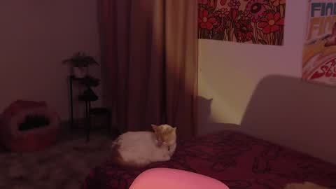 Snapshot of honeyypeaach chatting on 18, 12, 2024    online show from 18, 12, 2024