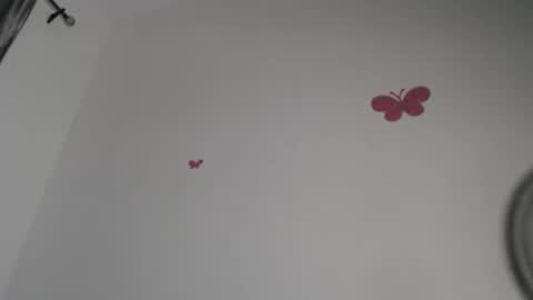 Iris online show from 4, 11, 2025