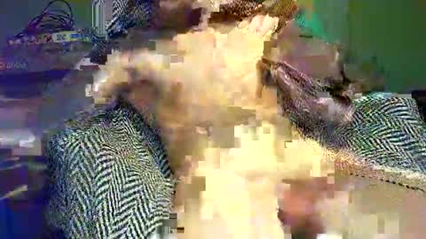 hornycocxxx online show from 9, 3, 2025