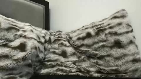 Snapshot of hornycumsh0t chatting on 3, 11, 2025 cumsh0tking online show from 3, 11, 2025