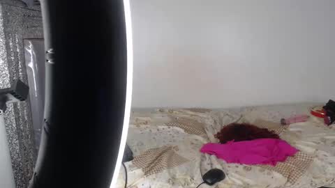 Snapshot of hornygal256 chatting on 2, 11, 2025 hornygal256 online show from 2, 11, 2025