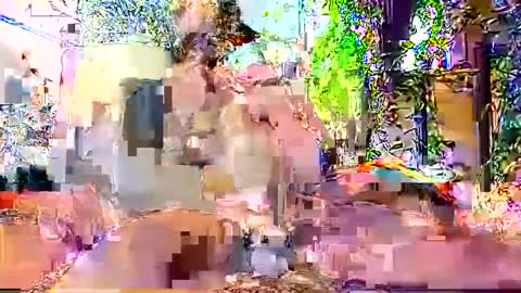 Snapshot of hornyhotgy27 chatting on 6, 12, 2024 hornyhotgy27 online show from 6, 12, 2024