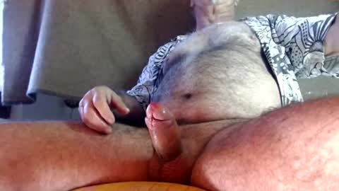 hornyswissman online show from 27, 2, 2025