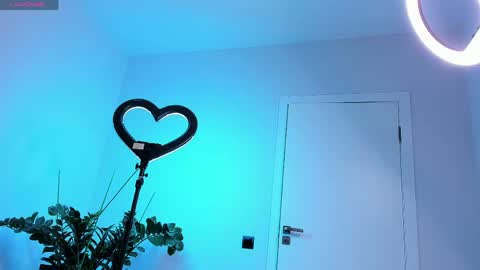 Snapshot of hornyyorck chatting on 28, 5, 2026 Robert online show from 28, 5, 2026