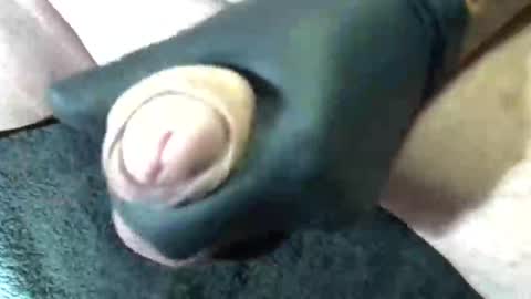 Snapshot of horse_dick9 chatting on 11, 9, 2025 horse_dick9 online show from 11, 9, 2025