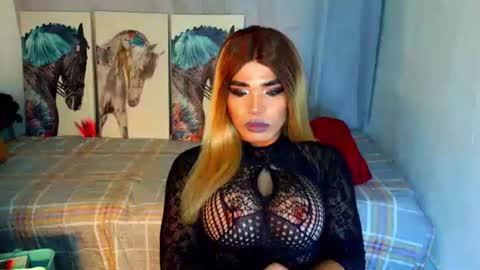 HORSECOCKterra online show from 24, 9, 2025
