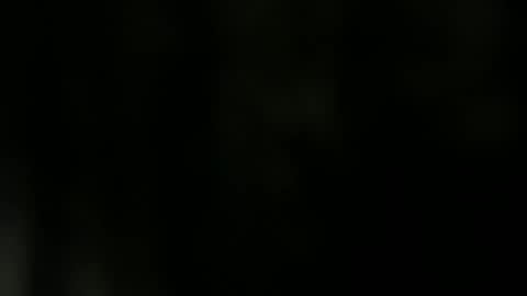 Bbc horsey online show from 11, 12, 2024