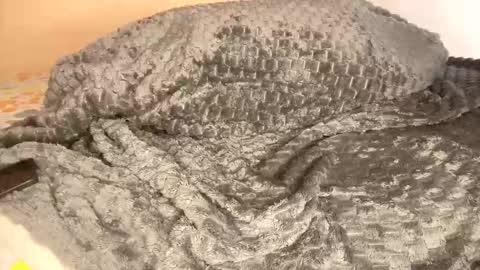 Hot latin couple online show from 13, 4, 2026