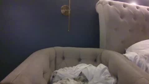 Snapshot of hothousewife333 chatting on 20, 9, 2025 hothousewife333 online show from 20, 9, 2025