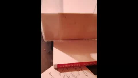 Snapshot of hotlux_54 chatting on 18, 7, 2026 hotlux_54 online show from 18, 7, 2026