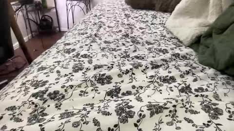 Annabelle online show from 4, 2, 2026