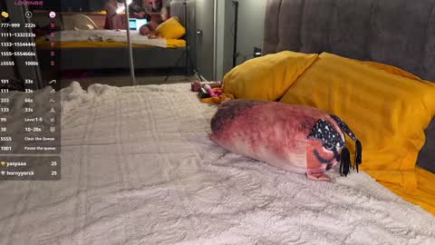 Elizabeth online show from 23, 12, 2024