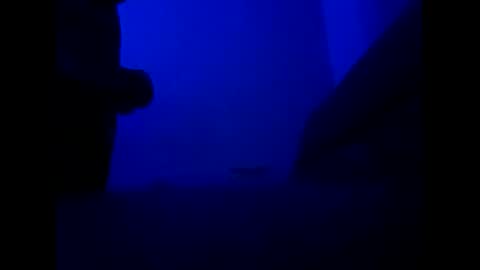 htxsaucehoggn online show from 31, 3, 2026