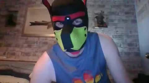 Snapshot of hudson_the_irish_pup chatting on 2, 4, 2026 Hudson the puppy play online show from 2, 4, 2026