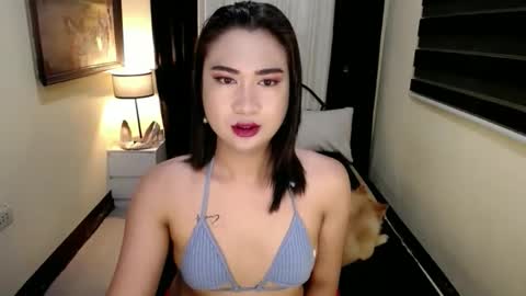 yesha fox online show from 24, 4, 2026