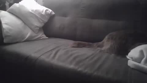 Snapshot of huguit026 chatting on 4, 2, 2025 huguit026 online show from 4, 2, 2025