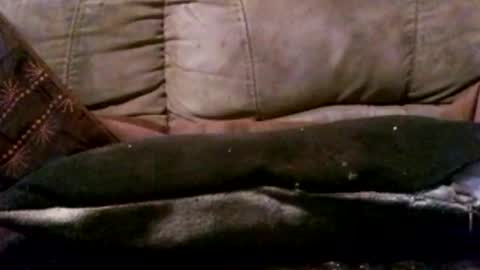 hung420boner online show from 3, 3, 2026