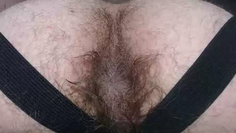 Snapshot of hunkytime chatting on 13, 7, 2026 I AM NOT A DIRECTOR I AM THE BOSS KINGDADDYSIRSTR8ALPHAMASTER online show from 13, 7, 2026