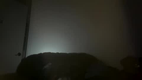 hustlemacc online show from 16, 11, 2025