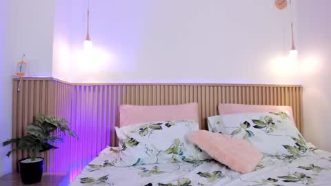   online show from 19, 12, 2024