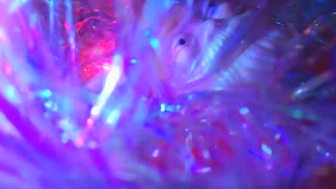 iamhereandnow online show from 19, 12, 2025