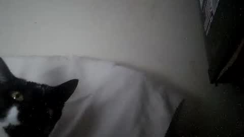 Snapshot of iamryan995442 chatting on 7, 4, 2026 iamryan995442 online show from 7, 4, 2026