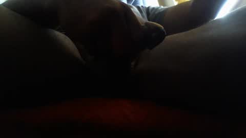 icecreamman6986 online show from 1, 1, 2025