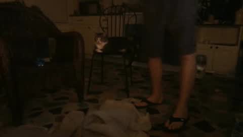 idksohorny online show from 21, 12, 2024