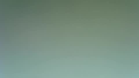 idkwhattowatch online show from 23, 12, 2024