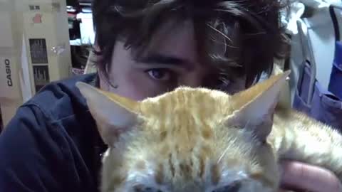 idkwhattowatch online show from 24, 12, 2024