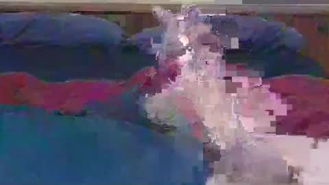 Snapshot of ihavebigballs00 chatting on 17, 12, 2024 ihavebigballs00 online show from 17, 12, 2024