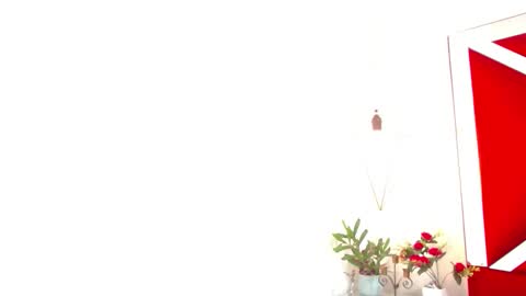 Isabella online show from 14, 11, 2025