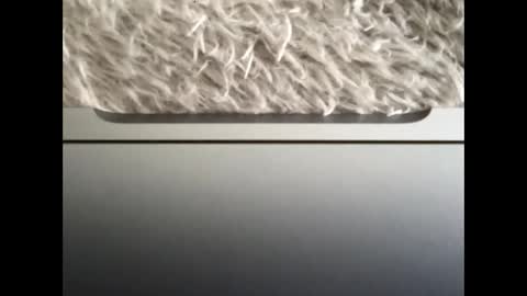 Morvoys online show from 14, 9, 2025