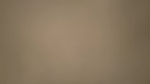 Morvoys online show from 6, 11, 2025