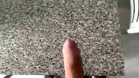 Snapshot of ilconte81 chatting on 10, 3, 2026 ilconte81 online show from 10, 3, 2026