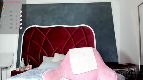 illegal_lorry online show from 22, 12, 2024